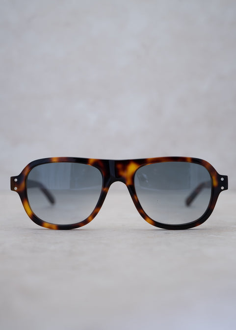 The Xarraca In Brown Mottle